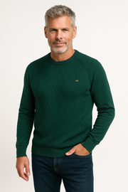 Men's Sweater with Check Design